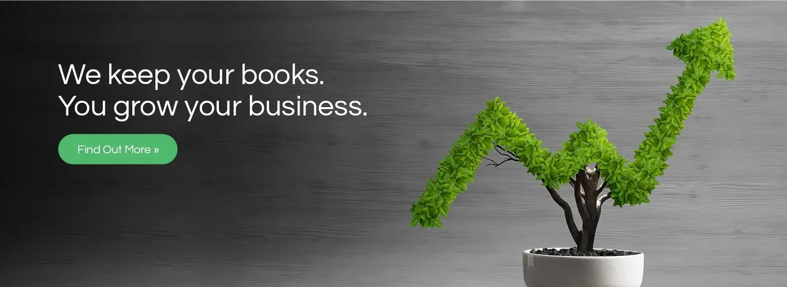 We Keep Your Books. You Grow Your Business